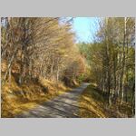 20051028_07.JPG