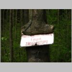 20100508031.jpg
