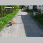 20100508095.jpg