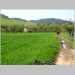 20100508102.jpg