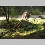 20090425025_two.jpg