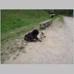20130501002.jpg