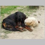 20130501003.jpg