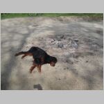 20130501011.jpg