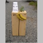 20080918034.jpg