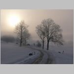 20060218002_zaci.JPG