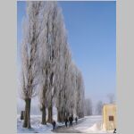 20060218003_zaci.JPG