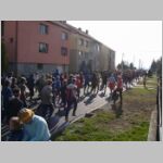 20070217053_muzi.JPG