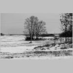 20120218001_pista.jpg