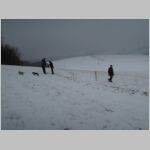 20170210007.JPG