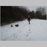 20170210009.JPG