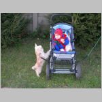 DSCN1528.jpg