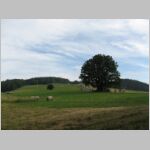 20080705039.jpg