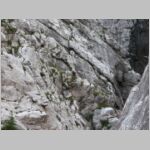 2008hochtor062.jpg