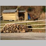 20101106068.jpg