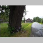 20110625027.jpg