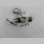 20071225003.jpg