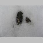 20071225004.jpg