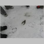 20071225007.jpg