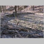 20080306013.jpg