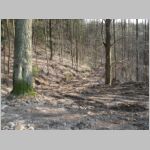 20080401008.jpg