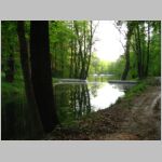 20090502009.jpg
