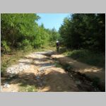 20070825023_mgr.jpg
