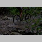 20080823164_mgr.jpg