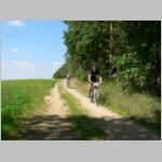 20100821039_zk.jpg