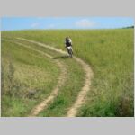 20100821050_zk.jpg