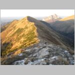 20081018229_jd.jpg