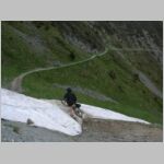 20070609037_priba.jpg