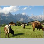 20070610212_pavlas.jpg