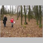 20090315019.jpg