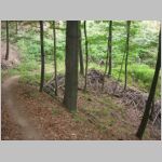 DSCN8552.JPG