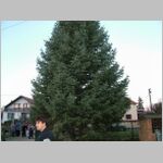 DSCF0320.JPG