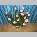 20080419012.jpg
