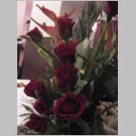 20080404022.jpg