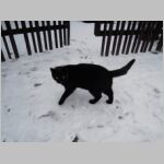 20120101062.jpg