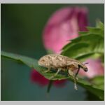 DSC_9507w.jpg