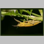 IMG_9297ws.jpg