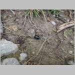 20111029054.jpg