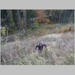20111029091.jpg