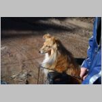 20080323026.jpg