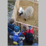 20080323057.jpg