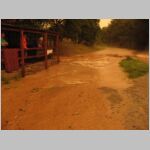 20090714009.jpg