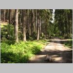 20090719006.jpg