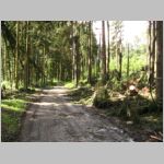 20090719007.jpg