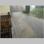 20090518009.jpg