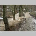 20060329030.JPG